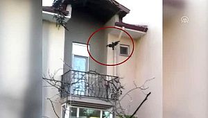 Edirne'de Kargaya Kan Donduran ??kence: Kanatlar?ndan �ubu?a Gerip Balkona Ast?lar