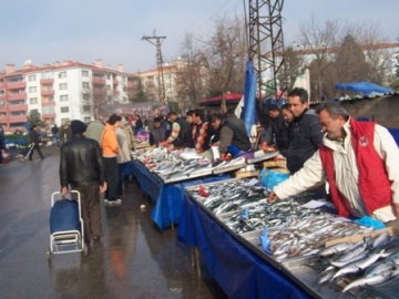Bal?kç?lar vatanda?? taze bal?k konusunda uyard?