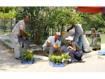 2 bin 40 adet çiçek dikildi