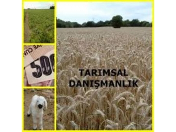 Tar?m Dan??manl??? hizmeti alan üreticilere destekleme ödenecek
