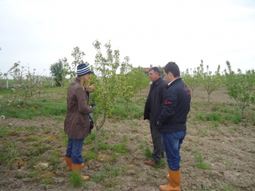 Meyve Bah�eleri�nde hastal?k zararl? kontrolleri yap?l?yor