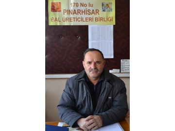 Ar?c?lar P?narhisar’da bulu?acak