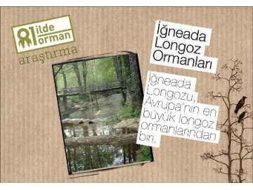81ilde81orman.com Longoz Ormanlar?’n? tan?t?yor
