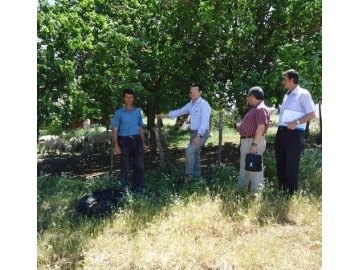 P?narhisar’daki “Koyunculuk Projesi” ba?ar?yla sürüyor