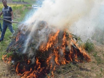 Zehir Tacirleri’ne 4 milyon 205 bin’lik darbe