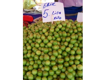 Hasretle beklenen Ye?il Erik el yak?yor