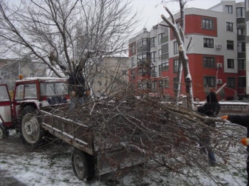 Bir taraftan buduyor bir taraftan ekiyorlar