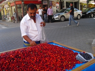 K?z?lc???n faydas? çok sat?c?s? pek yok