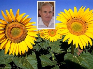 �Ay�i�ek Tohumu �e?itleri Analiz ettirildi�