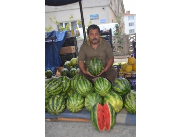 Karpuz pazardaki yerini ald?