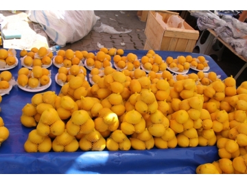 Zam ?ampiyonu Limon cepleri ek?itti
