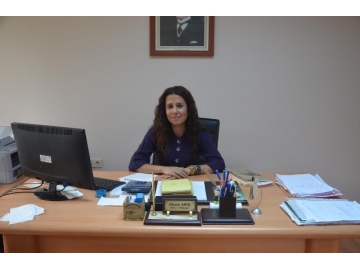 Demirköy'den Manisa'ya 100 bin fidan gönderilecek