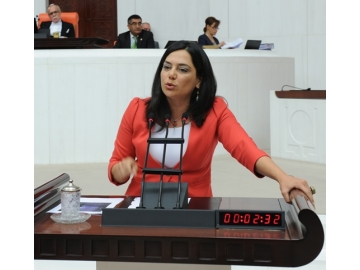 Yüceer, serac?lar?n ma?duriyetini TBMM’ye ta??d?