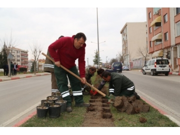 K?rklareli çiçeklendiriliyor