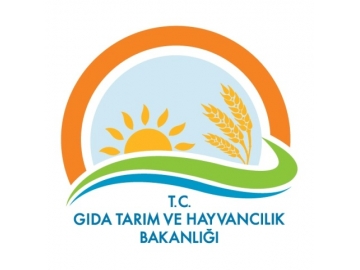 Ayn? günde 2 Etkinlik